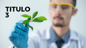 Noticia de Prueba